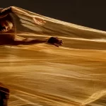 titas-alonzo-king-lines-ballet